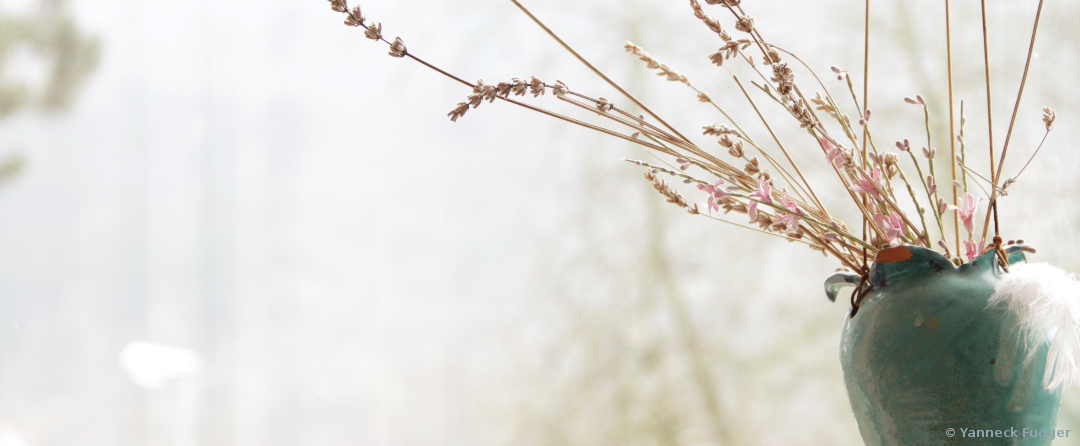 Getrocknete Pflanzenteile sind in einer hängenden Vase dekoriert
